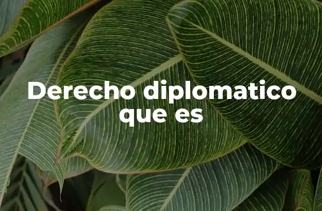 Derecho Diplomatico que es
