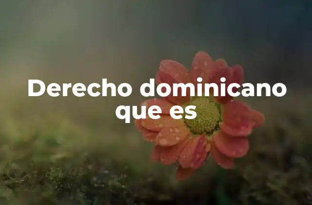 El marco institucional del sistema legal dominicano