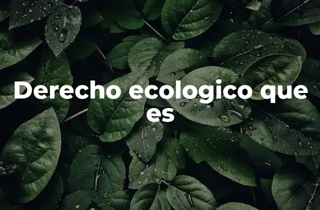Derecho Ecologico que es