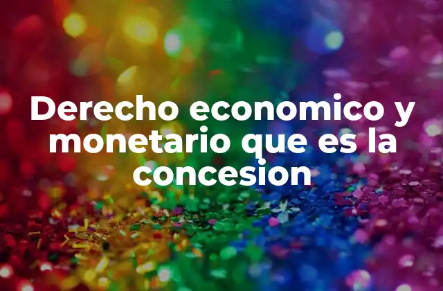 Derecho Economico y Monetario que es la Concesion