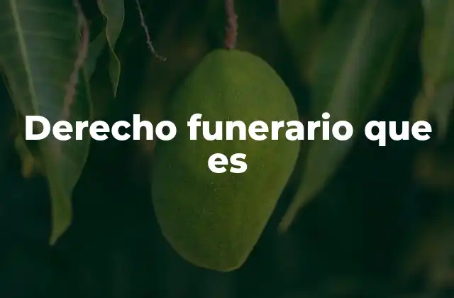 Derecho Funerario que es
