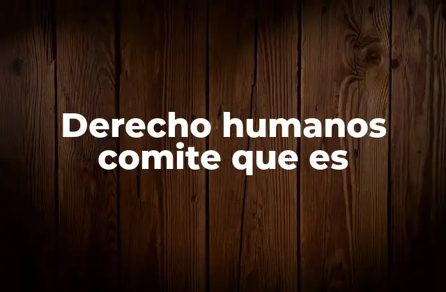 Derecho Humanos Comite que es