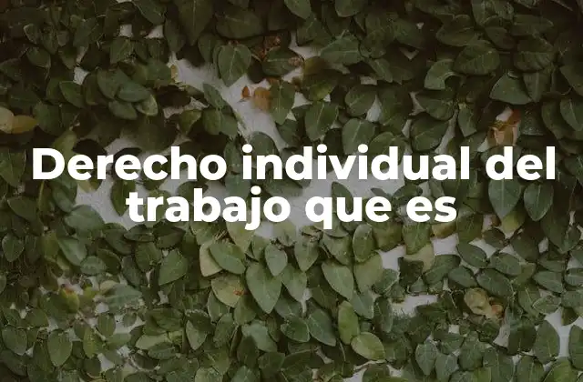 Derecho Individual Del Trabajo que es