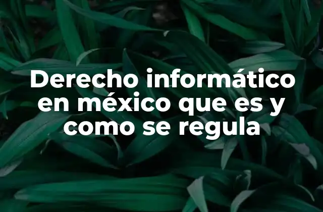 El papel del derecho informático en la gobernanza digital