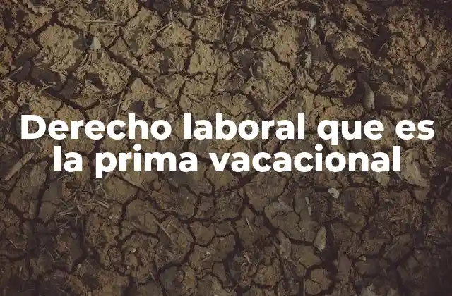 Derecho Laboral que es la Prima Vacacional 2 El papel de la prima vacacional en la compensación laboral