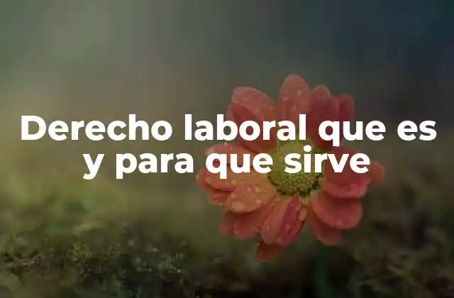 Derecho Laboral que es y para que Sirve
