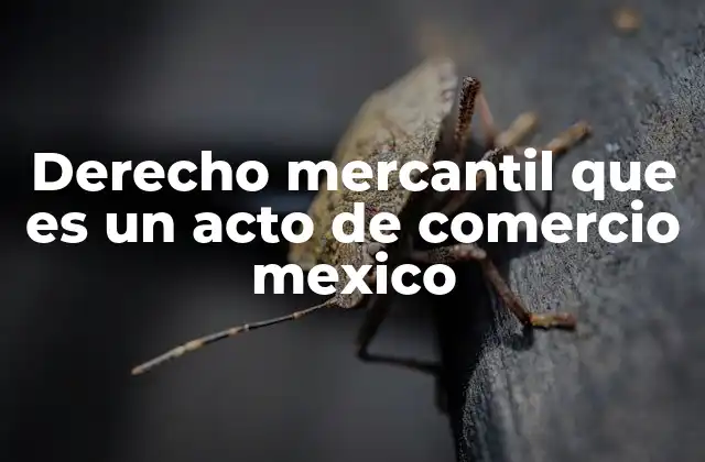 Derecho Mercantil que es un Acto de Comercio Mexico