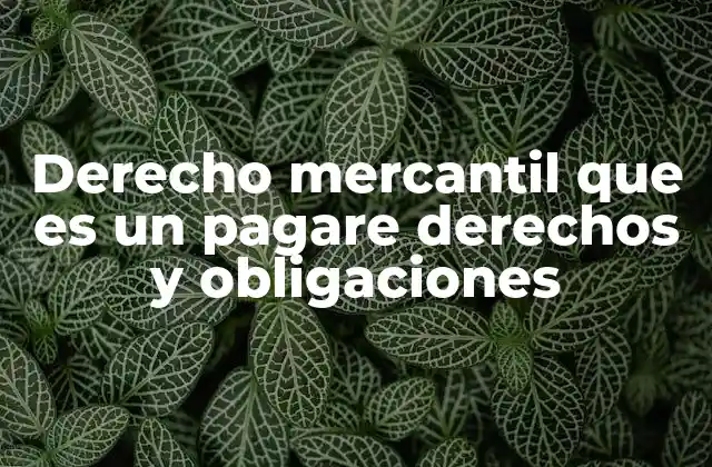 Derecho Mercantil que es un Pagare Derechos y Obligaciones