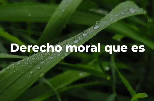 Derecho Moral que es