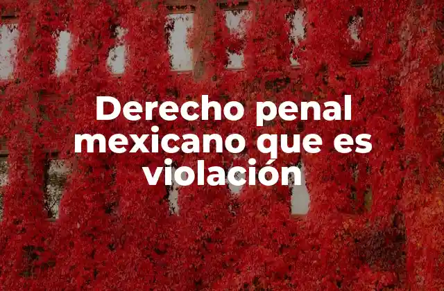 Derecho Penal Mexicano que es Violación