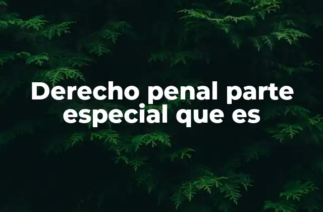 Derecho Penal Parte Especial que es