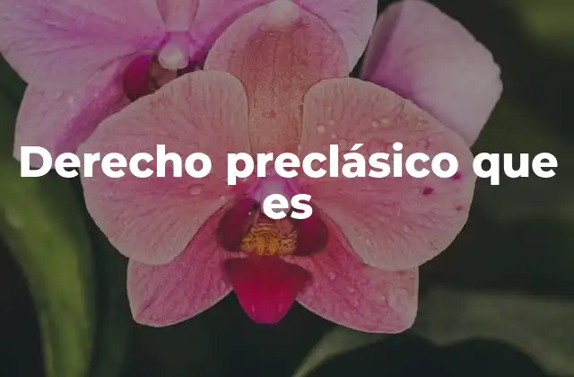 Derecho Preclásico que es