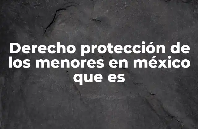 Derecho Protección de los Menores en México que es