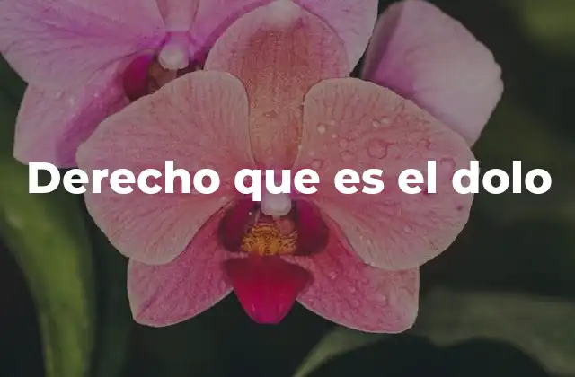 Derecho que es el Dolo