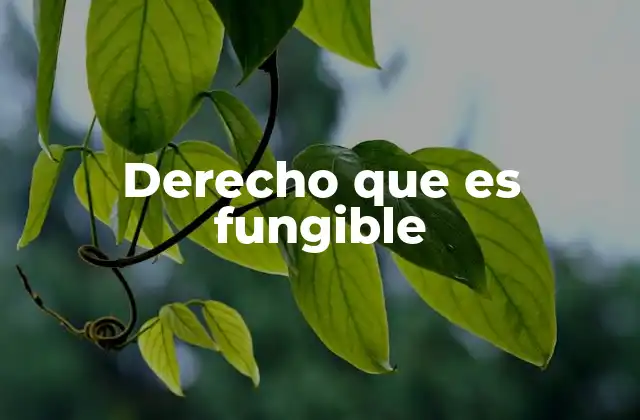 Derecho que es Fungible