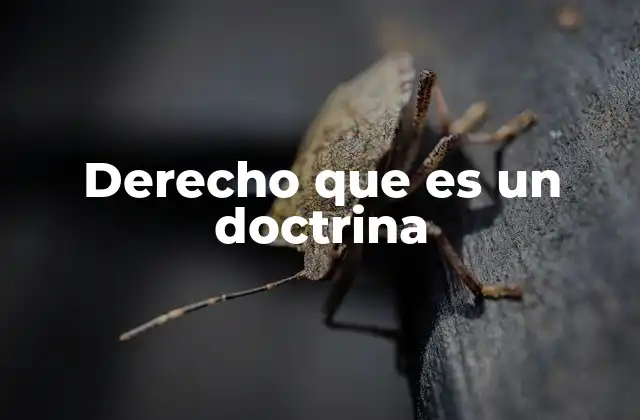 Derecho que es un Doctrina 2 El derecho como herramienta de análisis social