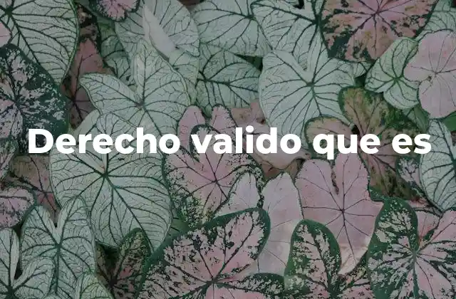 Derecho Valido que es