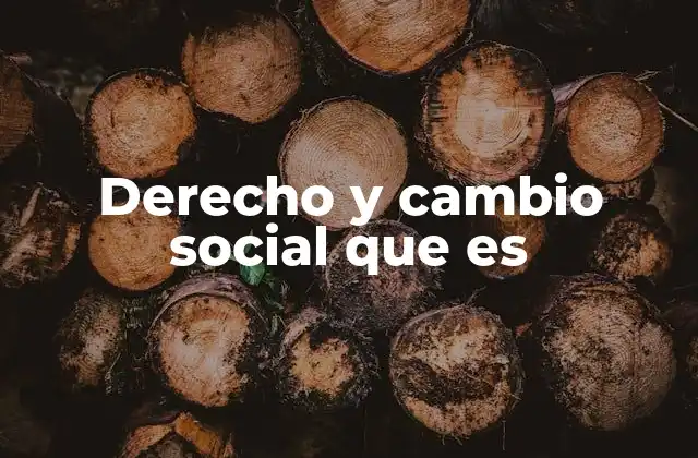Derecho y Cambio Social que es