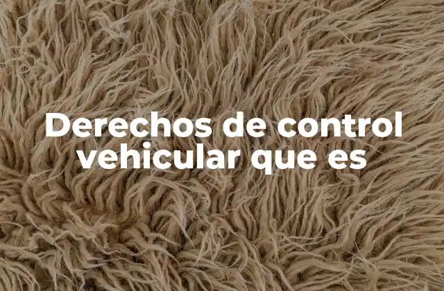 Derechos de Control Vehicular que es