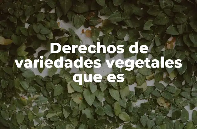 Derechos de Variedades Vegetales que es 2 La importancia de la protección de variedades vegetales