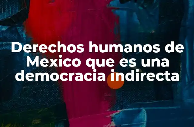 Derechos Humanos de Mexico que es una Democracia Indirecta