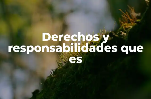 Derechos y Responsabilidades que es
