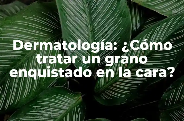 Dermatología: ¿cómo Tratar un Grano Enquistado en la Cara?
