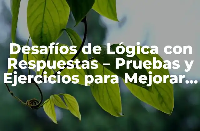 Desafíos de Lógica con Respuestas – Pruebas y Ejercicios para Mejorar Tu Razonamiento
