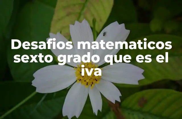 Desafios Matematicos Sexto Grado que es el Iva