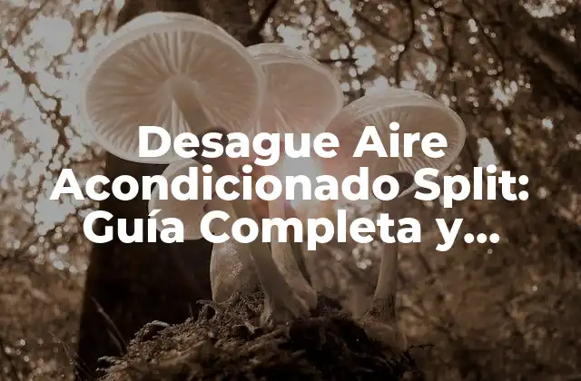 Desague Aire Acondicionado Split: Guía Completa y Actualizada