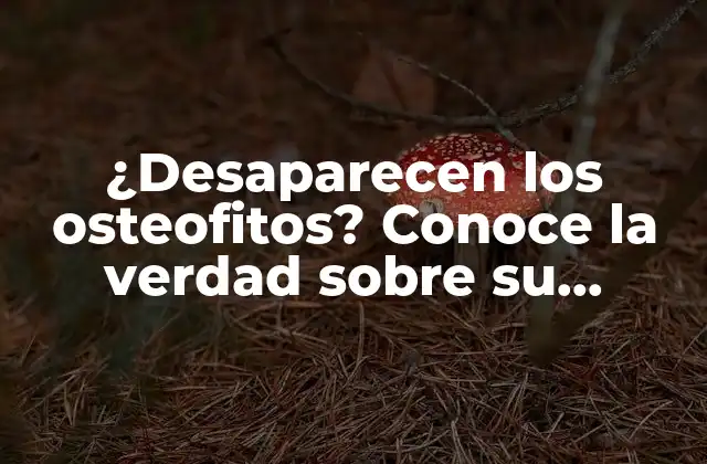 ¿desaparecen los Osteofitos? Conoce la Verdad sobre Su Tratamiento y Prevención