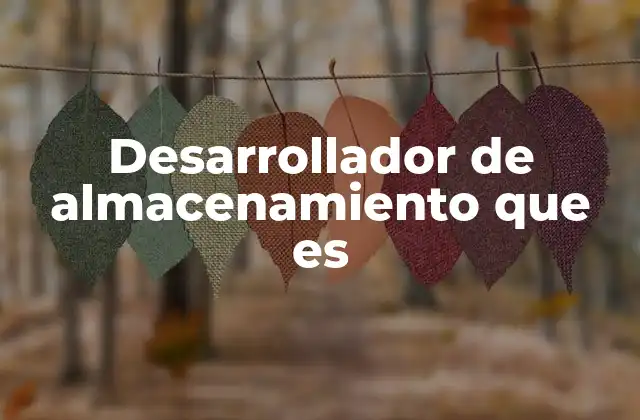 Desarrollador de Almacenamiento que es