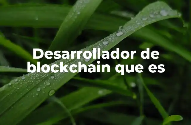 Desarrollador de Blockchain que es