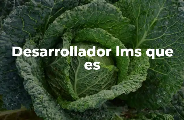 Desarrollador Lms que es