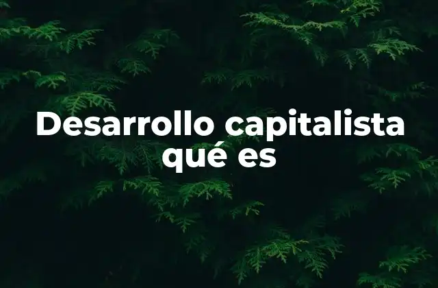 Desarrollo Capitalista Qué es 2 Características del sistema capitalista