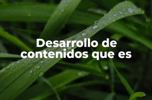 Desarrollo de Contenidos que es
