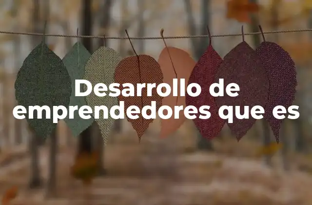 Desarrollo de Emprendedores que es