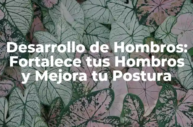 Desarrollo de Hombros: Fortalece Tus Hombros y Mejora Tu Postura
