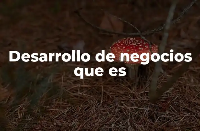 Desarrollo de Negocios que es