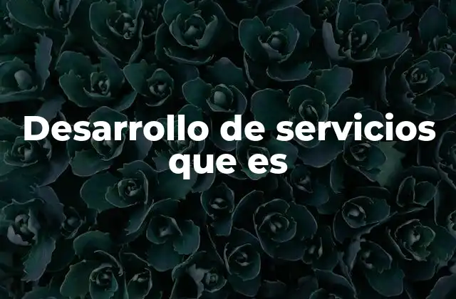 Desarrollo de Servicios que es