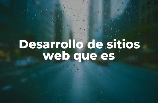 Desarrollo de Sitios Web que es