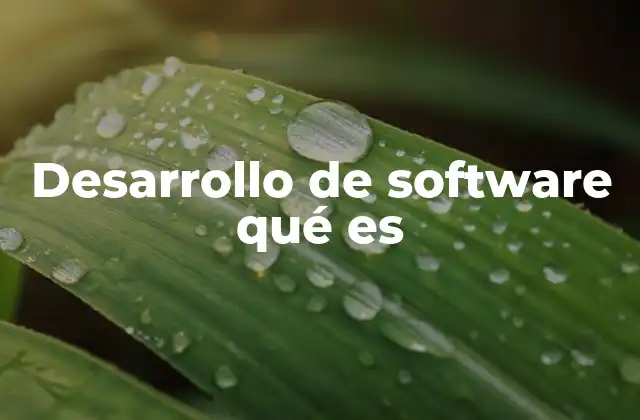 Desarrollo de Software Qué es