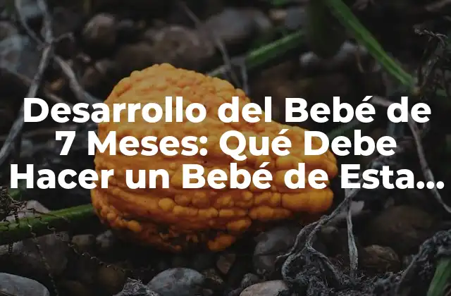 Desarrollo Del Bebé de 7 Meses: Qué Debe Hacer un Bebé de Esta Edad