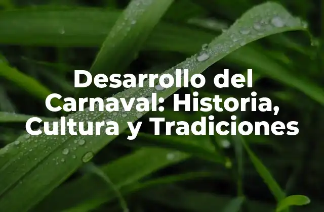 Desarrollo Del Carnaval: Historia, Cultura y Tradiciones
