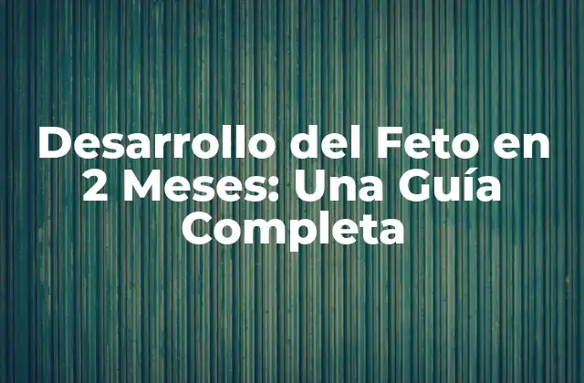 Desarrollo Del Feto en 2 Meses: una Guía Completa