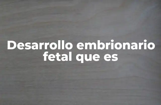Desarrollo Embrionario Fetal que es