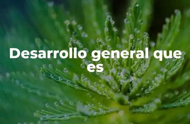 Desarrollo General que es