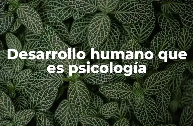 Desarrollo Humano que es Psicología
