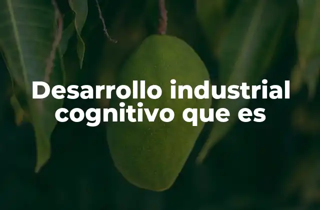 Desarrollo Industrial Cognitivo que es