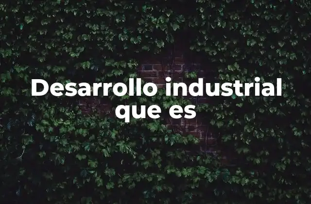 Desarrollo Industrial que es